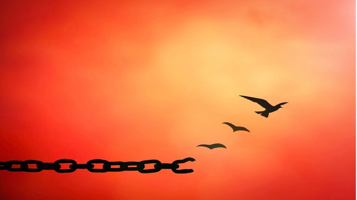 #STOP ALLA PIGRIZIA A TEMPO INDETERMINATO